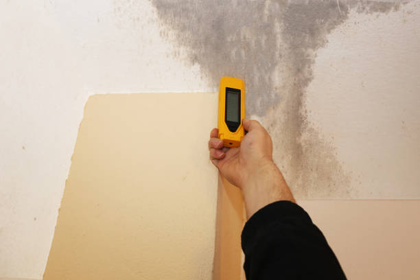 Best Mold Removal for HVAC Installations  in , HI