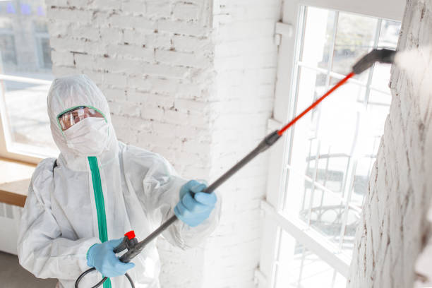 Best Mold Remediation for Rental Properties  in , HI