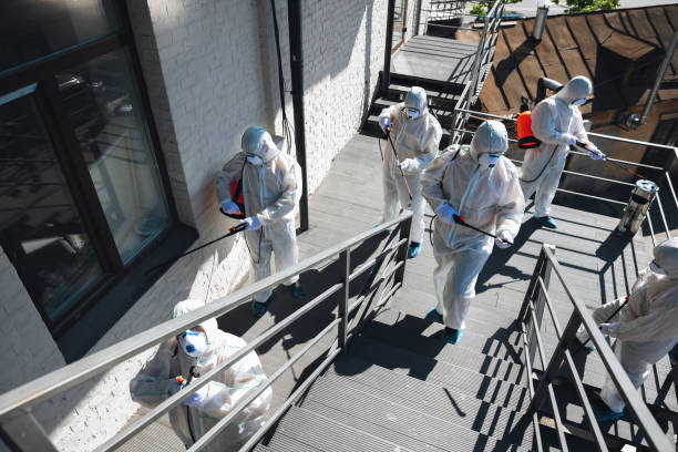 Best Mold Damage Restoration  in , HI