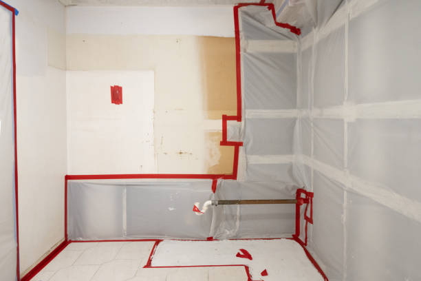Best Water Damage & Mold Remediation  in , HI