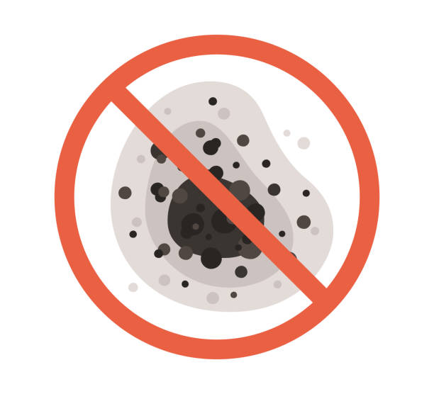  , HI Mold Removal Pros