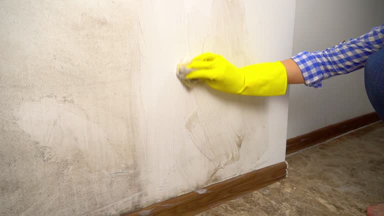 Best Indoor Air Quality Assessment  in , HI