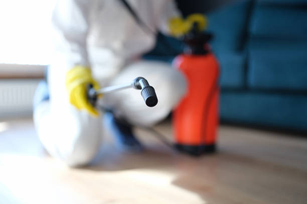 Best Mold Remediation for Healthcare Facilities  in , HI