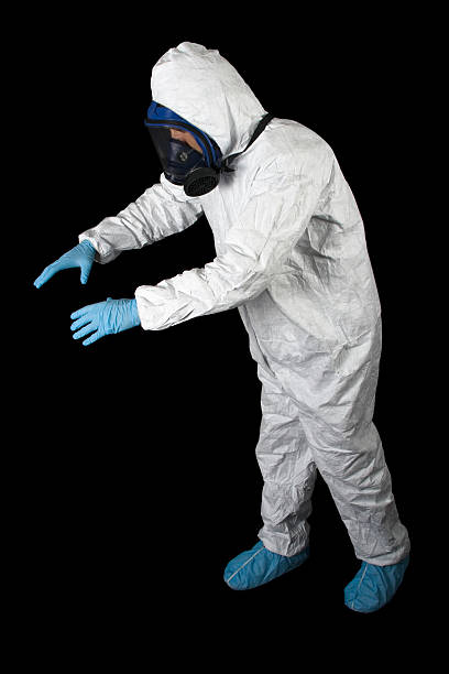 Best Black Mold Removal  in , HI